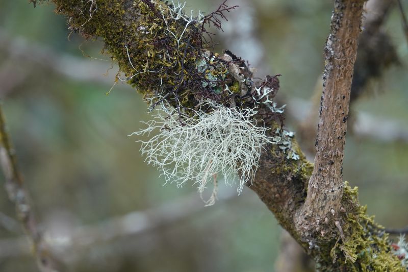 Viewing photos→2025→2025-10-20→10