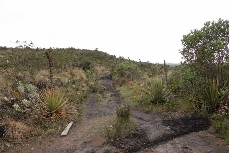 Viewing photos→2025→2025-10-20→12