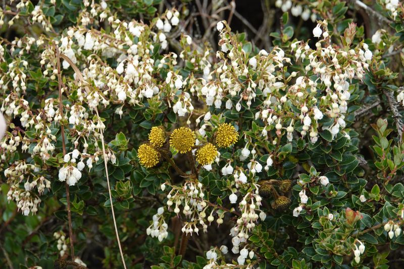 Viewing photos→2025→2025-10-20→13