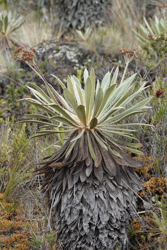 Viewing photos→2025→2025-10-20→14