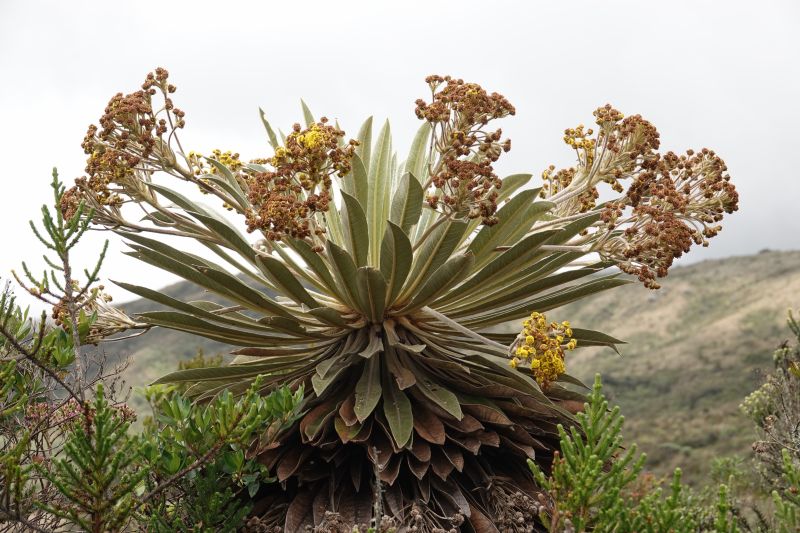 Viewing photos→2025→2025-10-20→16