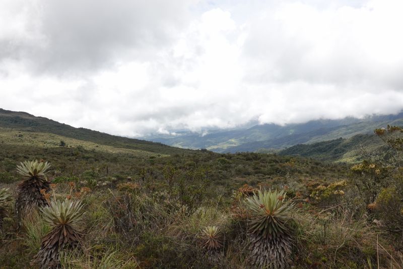 Viewing photos→2025→2025-10-20→19