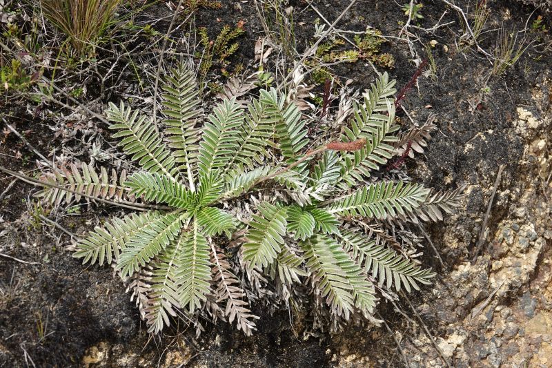 Viewing photos→2025→2025-10-20→22