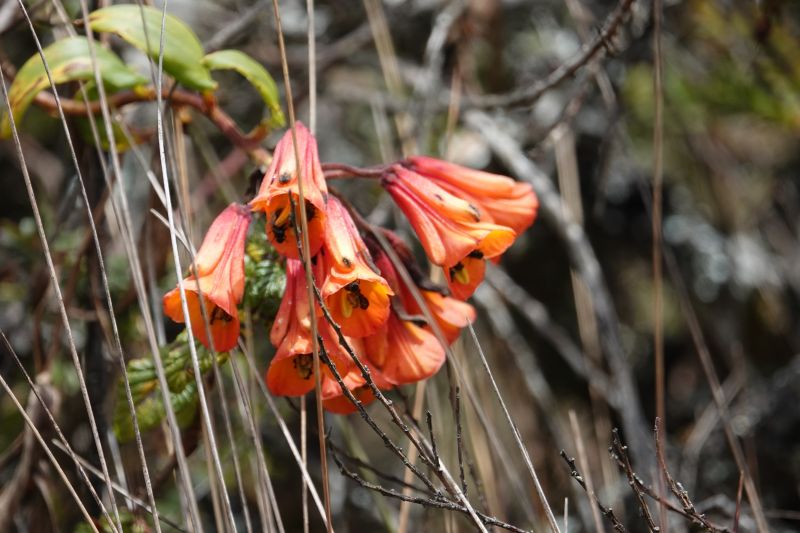 Viewing photos→2025→2025-10-20→23