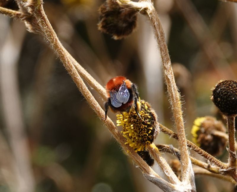 Viewing photos→2025→2025-10-20→24