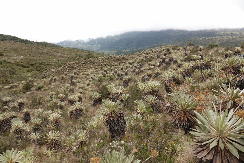 Viewing photos→2025→2025-10-20→29