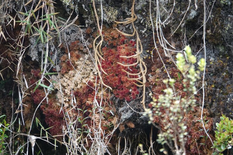 Viewing photos→2025→2025-10-20→32