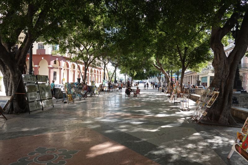 Viewing photos→2025→2025-10-25→008