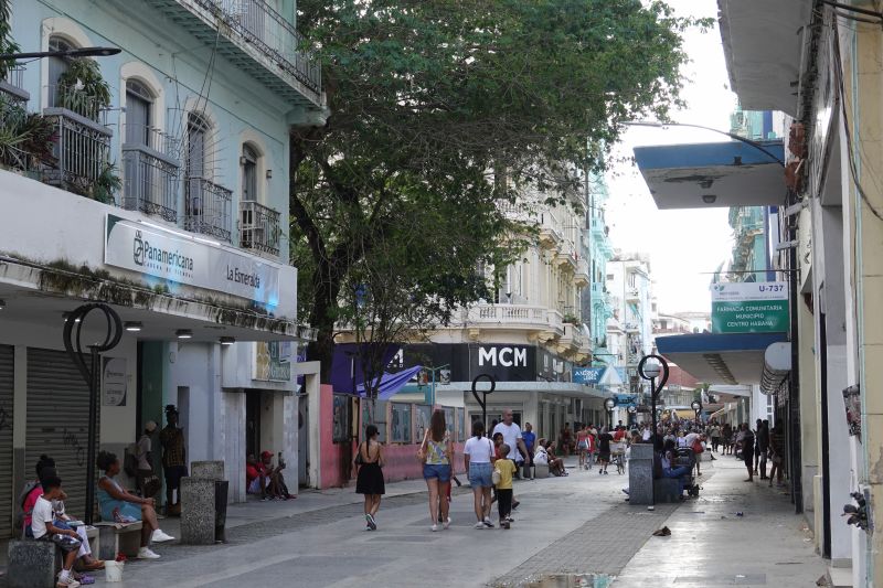 Viewing photos→2025→2025-10-25→015