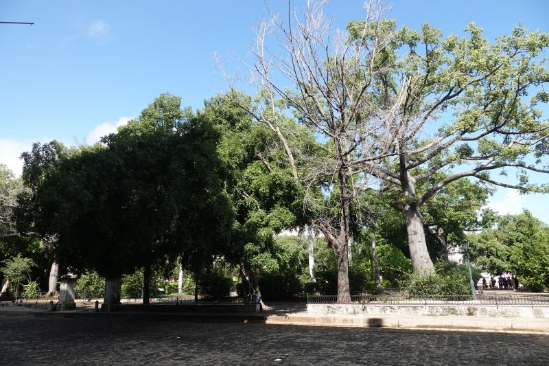 Viewing photos→2025→2025-10-25→034