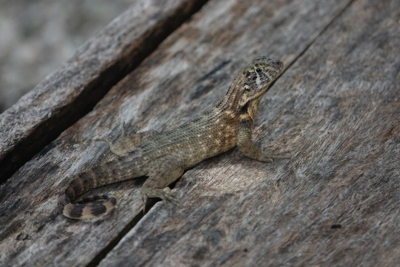 Viewing photos→2025→2025-10-27→003