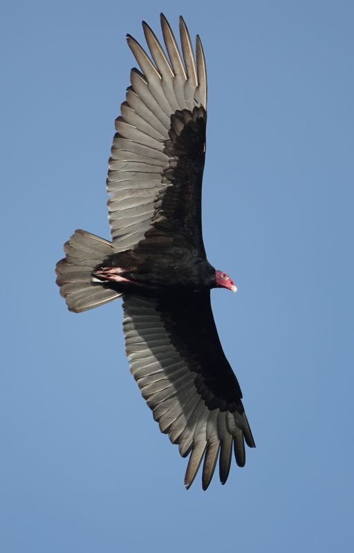 Viewing photos→2025→2025-10-27→010