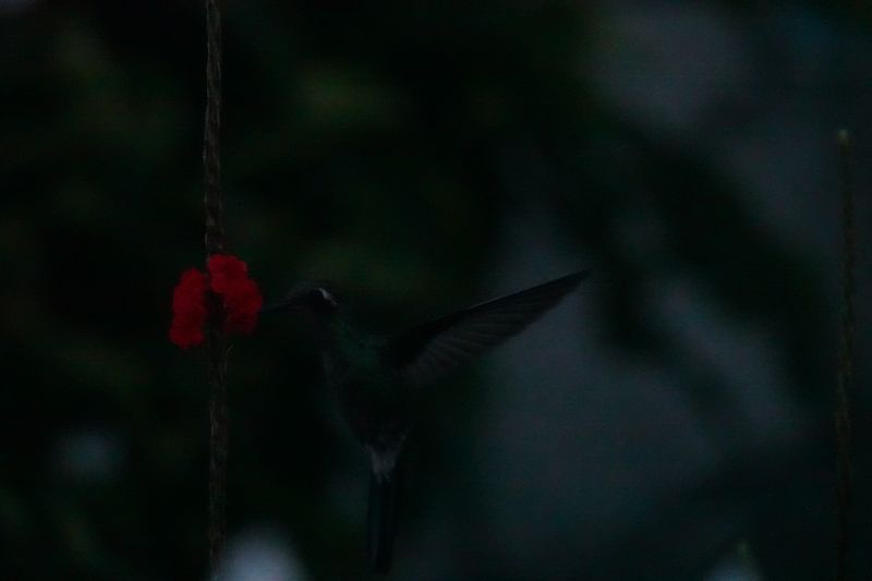 Viewing photos→2025→2025-10-27→016