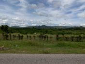 024.jpg - 2025:10:28 12:00:12