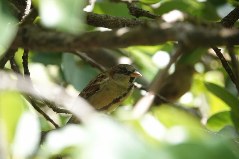 Viewing photos→2025→2025-10-27→025