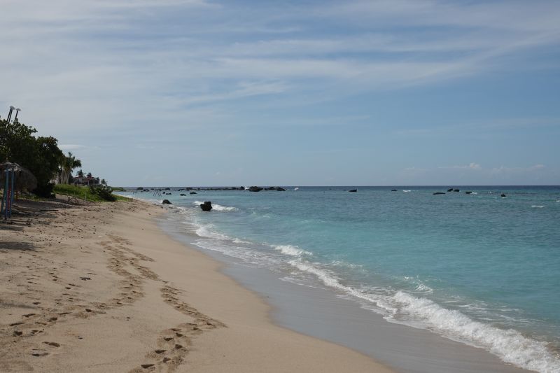 Viewing photos→2025→2025-10-27→084