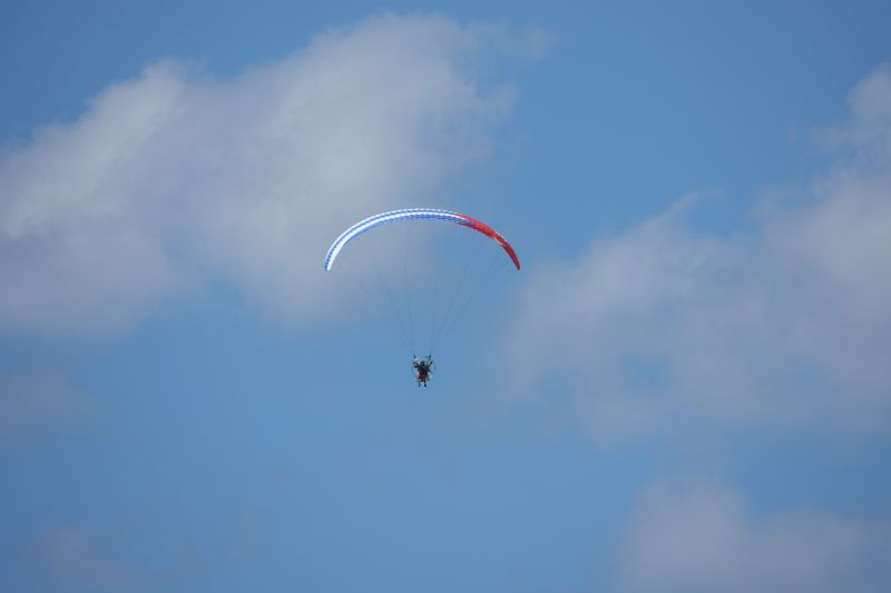 Viewing photos→2025→2025-10-27→113