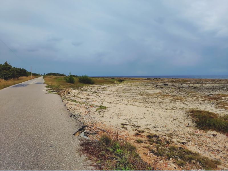 Viewing photos→2025→2025-10-27→126