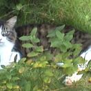 2001<br>
<b>2001 pictures</b>
