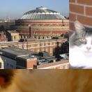 2005<br>
<b>2005 pictures</b>
