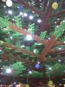 37.jpg - 2011:12:17 20:09:28