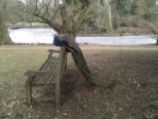 03.jpg - 2012:02:13 13:49:11