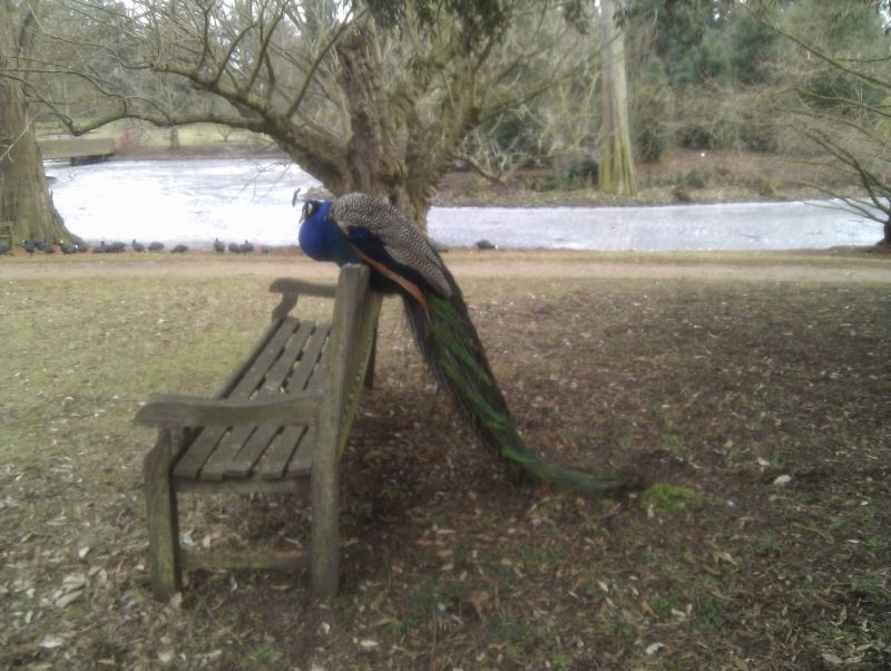 Viewing photos→Misc→2012→03