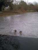 04.jpg - 2012:02:13 13:50:36