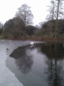 05.jpg - 2012:02:13 13:52:34