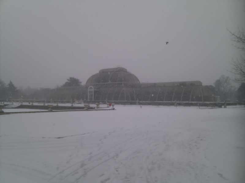 Viewing photos→Misc→2013→03