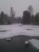 05.jpg - 2013:01:18 13:41:18