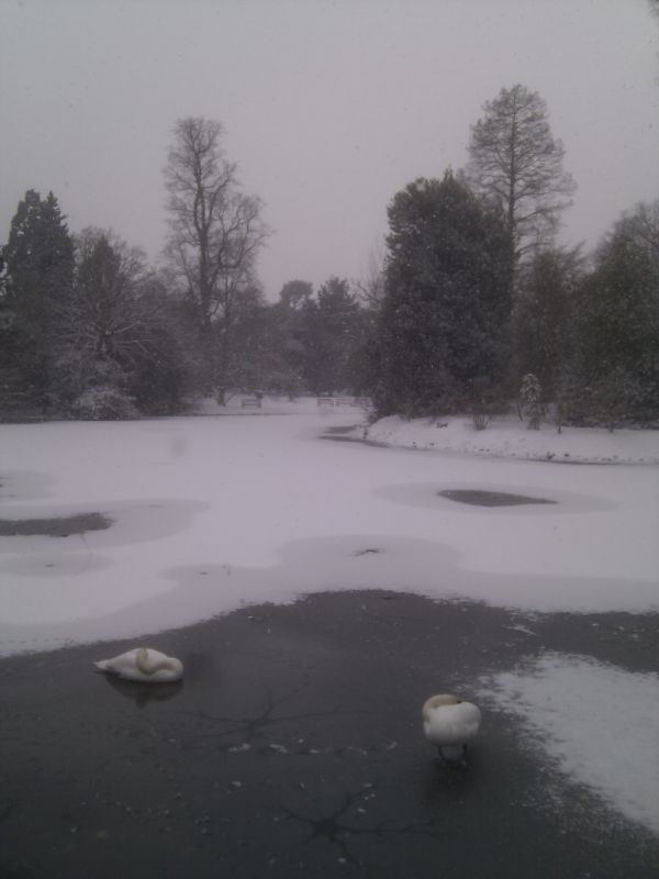 Viewing photos→Misc→2013→05