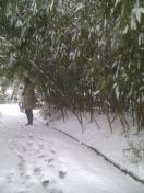 06.jpg - 2013:01:18 13:47:03