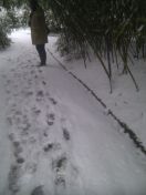 07.jpg - 2013:01:18 13:47:11