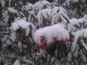 08.jpg - 2013:01:18 13:51:30