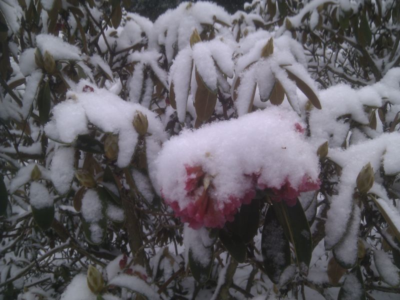 Viewing photos→Misc→2013→08