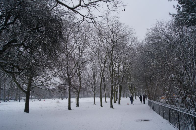 Viewing photos→Misc→2013→09