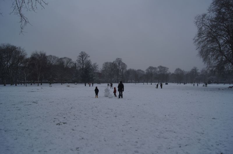 Viewing photos→Misc→2013→11