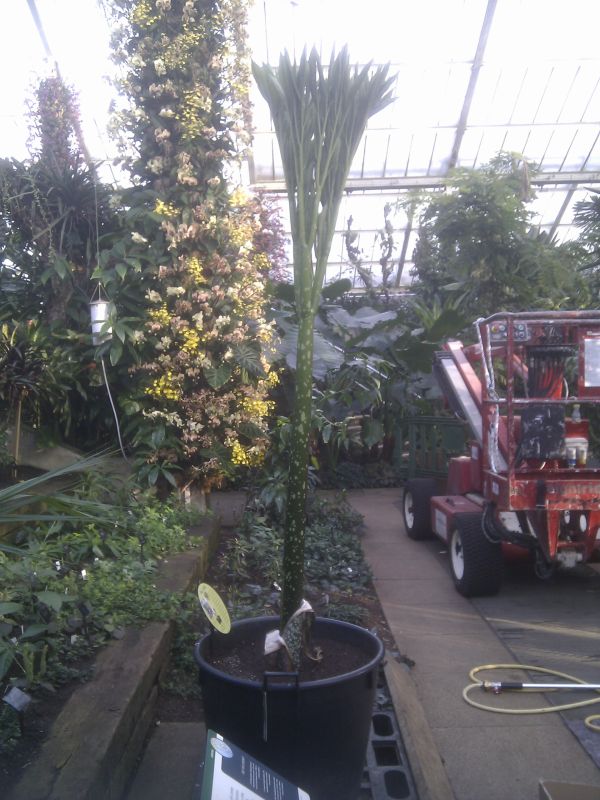 Viewing photos→Misc→2013→14