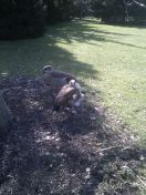 41.jpg - 2013:04:02 14:55:42