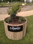 57.jpg - 2013:05:31 14:10:23