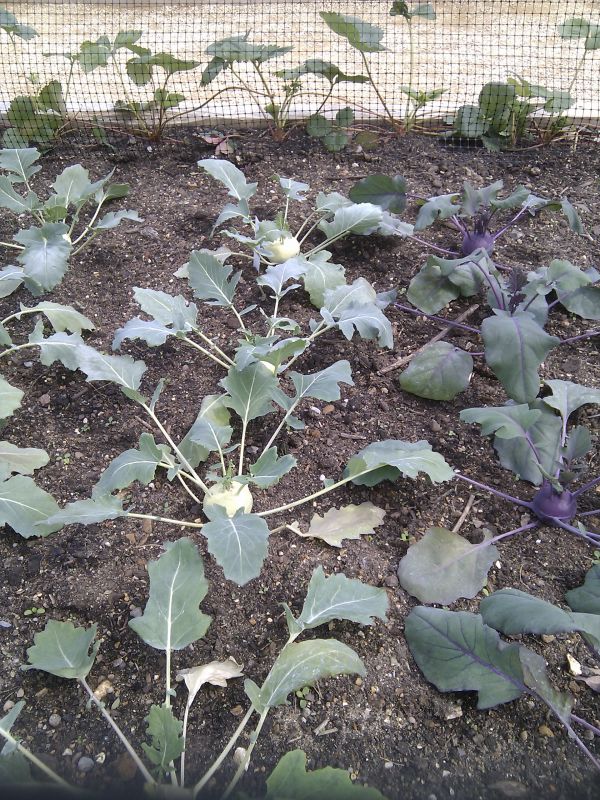 Viewing photos→Misc→2013→58