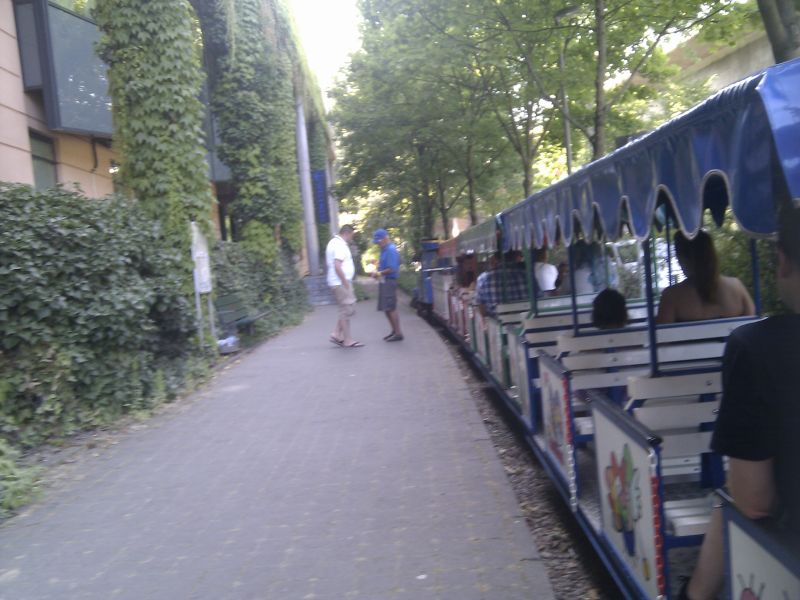 Viewing photos→Misc→2013→70