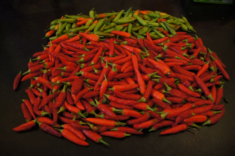 Viewing photos→Misc→2013→86