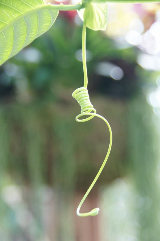 Viewing photos→Misc→2014→04