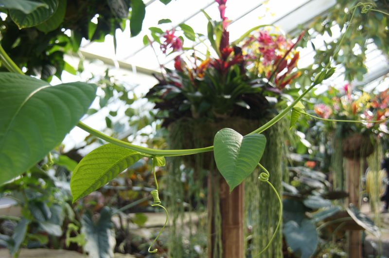 Viewing photos→Misc→2014→05