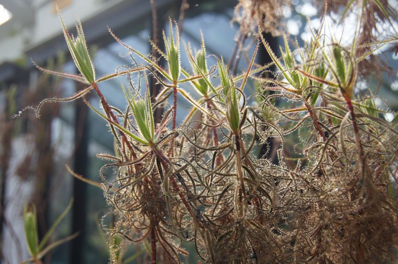 Viewing photos→Misc→2014→08