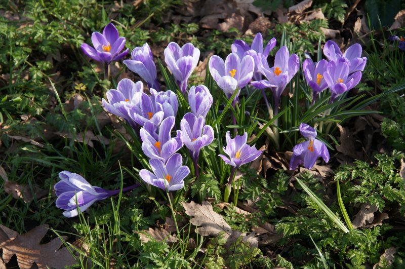 Viewing photos→Misc→2014→11