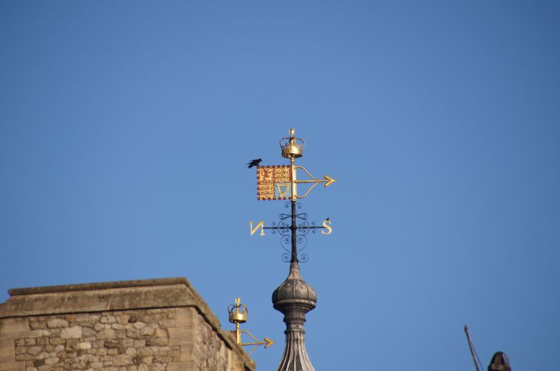 Viewing photos→Misc→2014→19