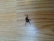 46.jpg - 2014:08:09 16:38:45